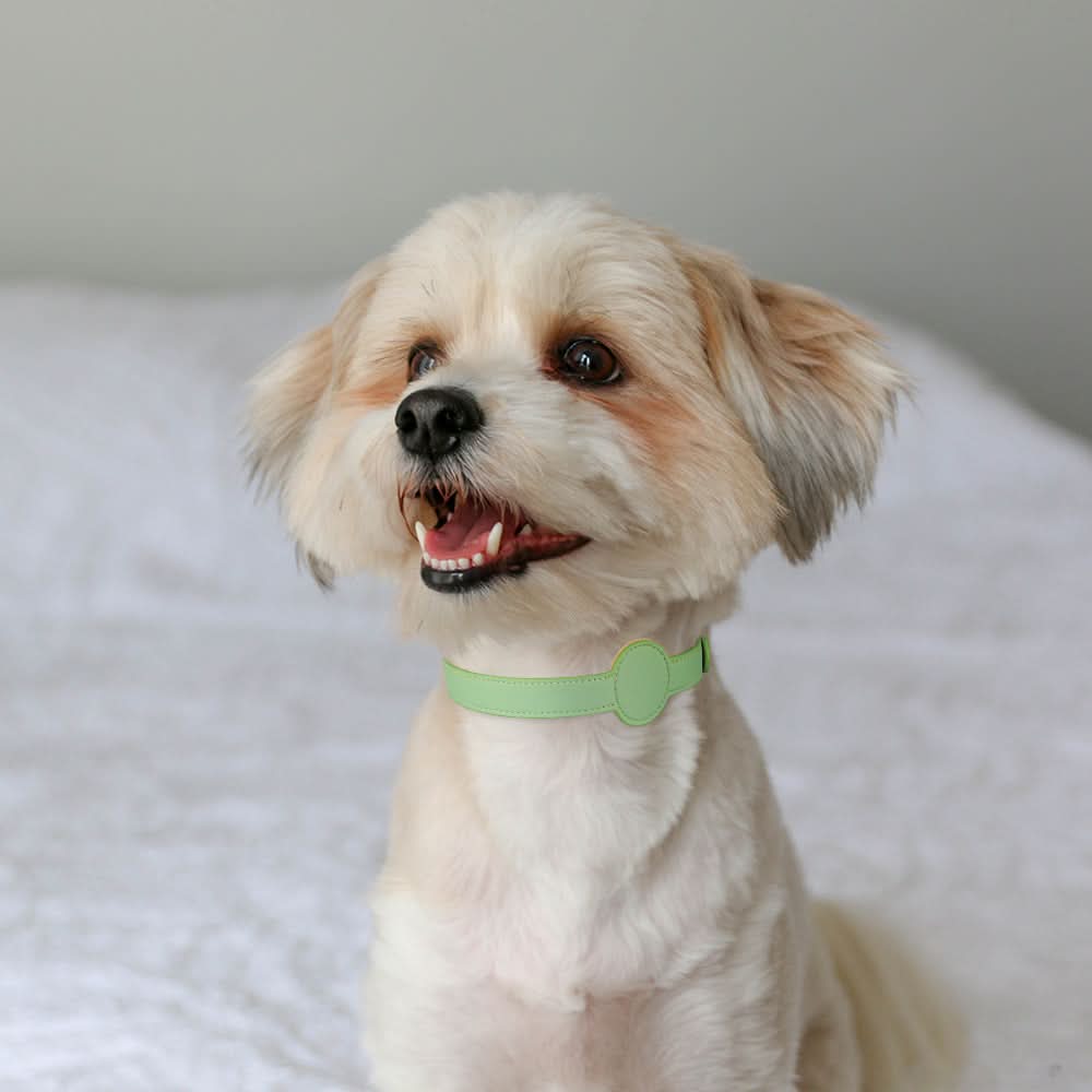 Dog Collar | Integrated AirTag Holder & Waterproof Silicone