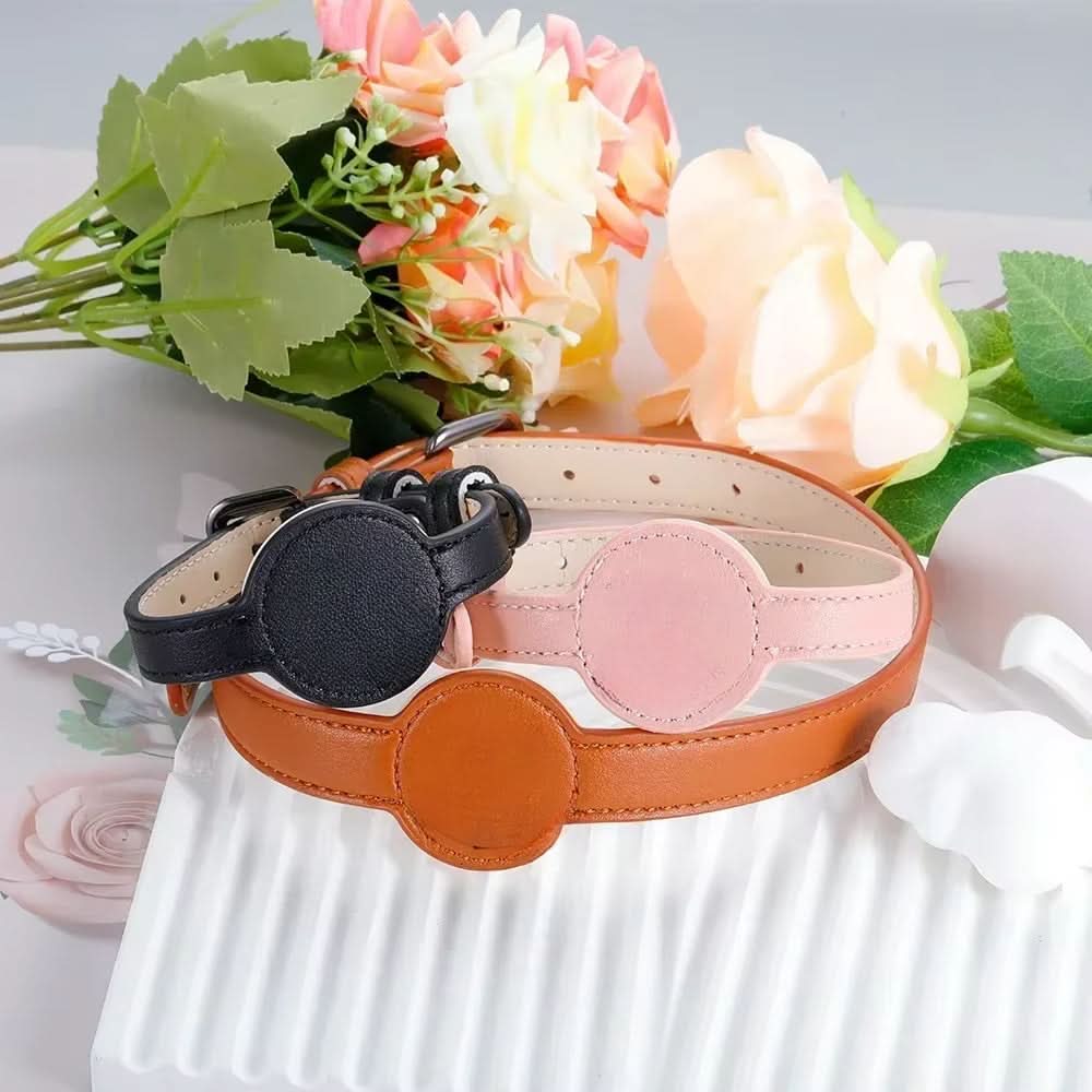 Dog Collar | Integrated AirTag Holder & Waterproof Silicone