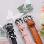 Dog Collar | Integrated AirTag Holder & Waterproof Silicone