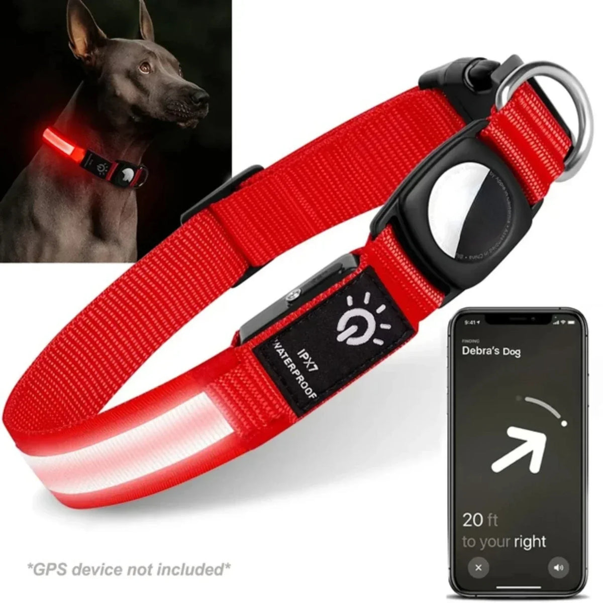 Dog Collar | USB-Rechargeable LED & AirTag Compatible