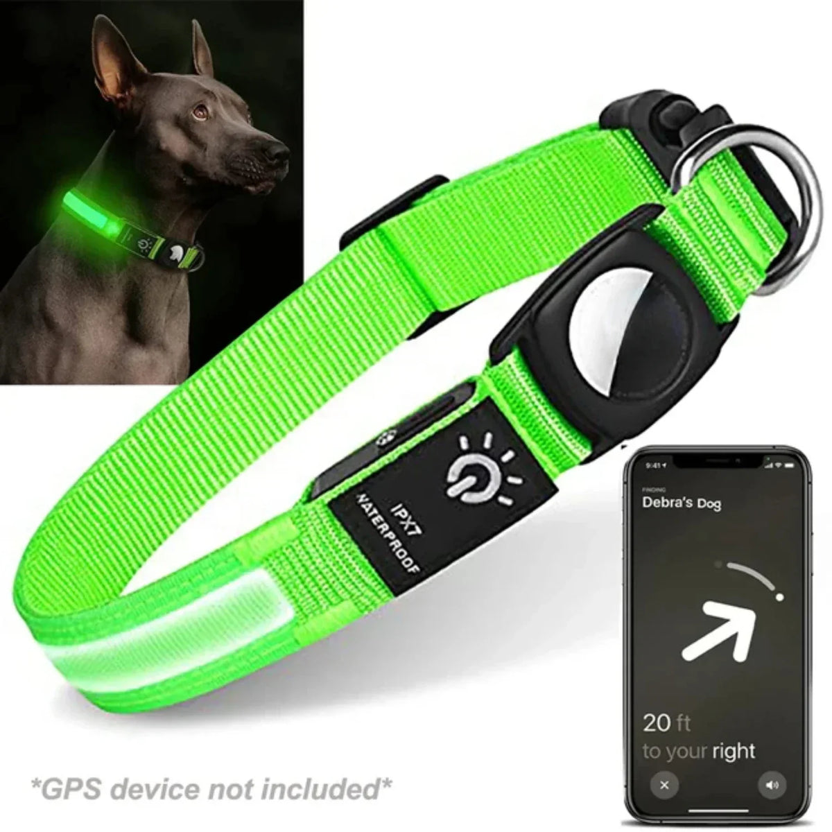 Dog Collar | USB-Rechargeable LED & AirTag Compatible