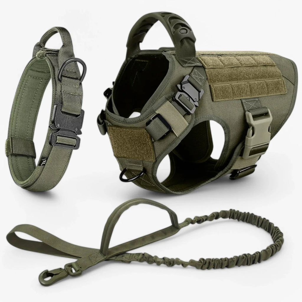 Dog Harness | Vest-Style Padded Handle & Reflective Nylon