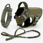 Dog Harness | Vest-Style Padded Handle & Reflective Nylon