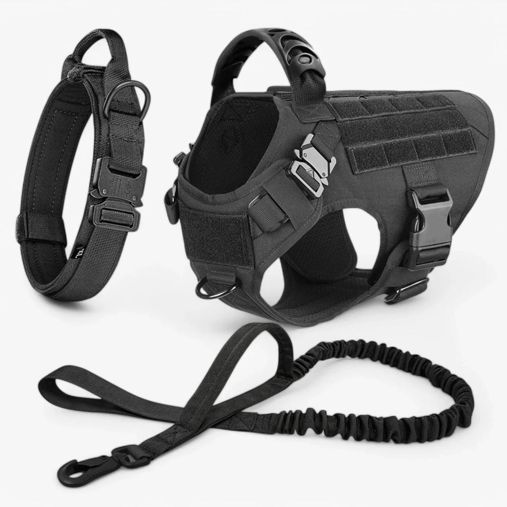 Dog Harness | Vest-Style Padded Handle & Reflective Nylon