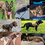 Dog Harness | Vest-Style Padded Handle & Reflective Nylon
