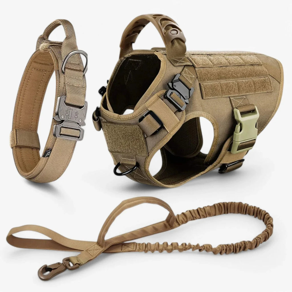 Dog Harness | Vest-Style Padded Handle & Reflective Nylon