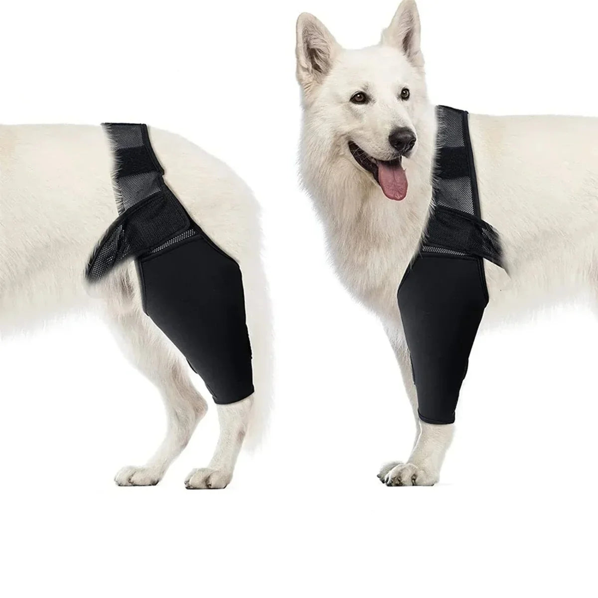Dog Knee Brace | Veterinarian-Approved Orthopedic & Breathable Neoprene