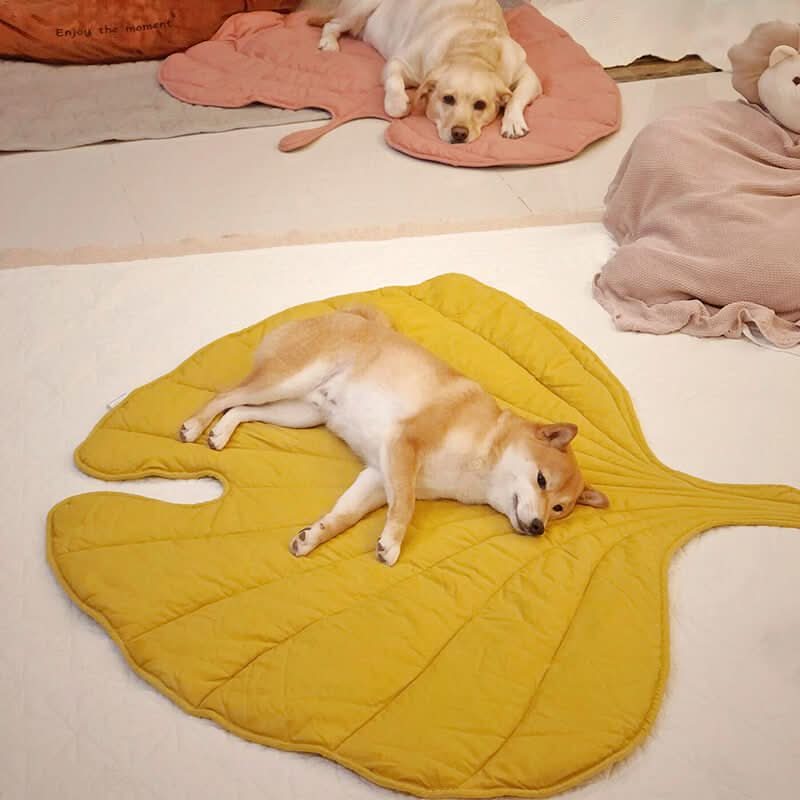 Dog Mat | Leaf-Shaped Cotton-Polyester & Machine-Washable | For Medium & Large Dogs