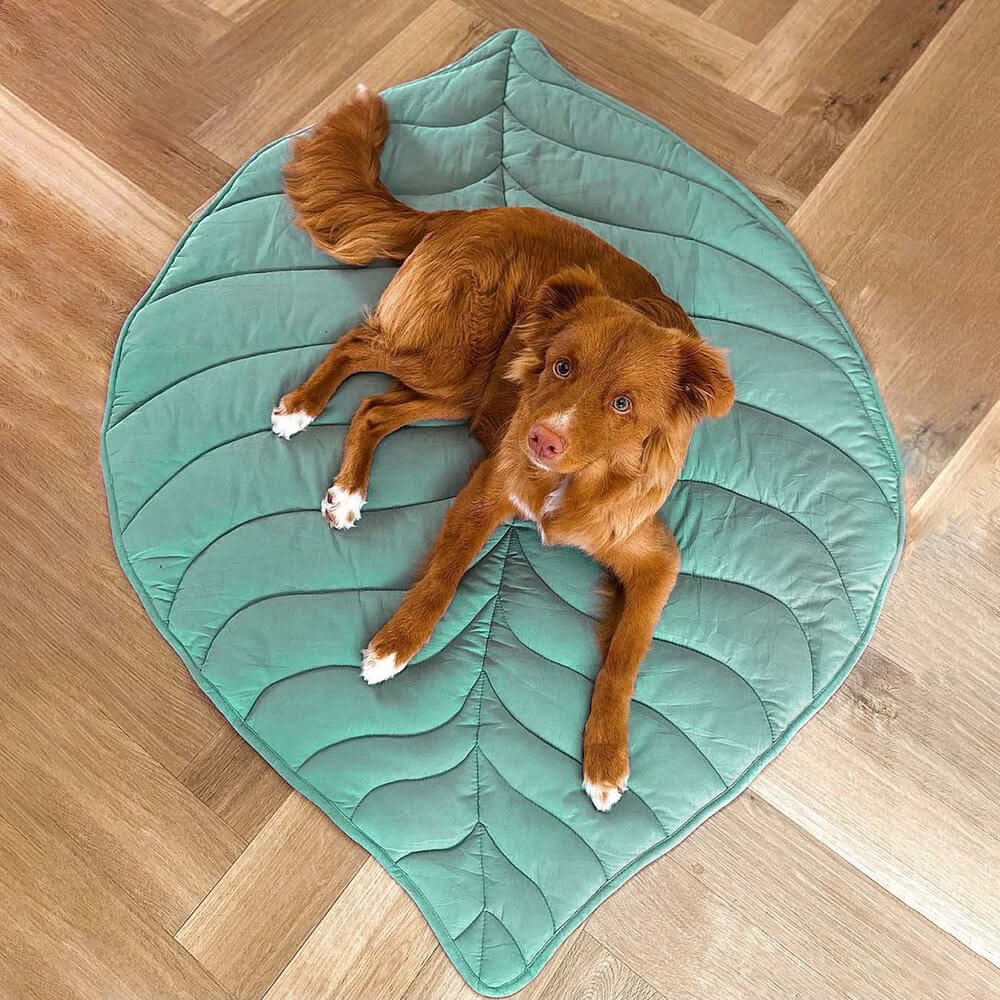 Dog Mat | Leaf-Shaped Cotton-Polyester & Machine-Washable | For Medium & Large Dogs