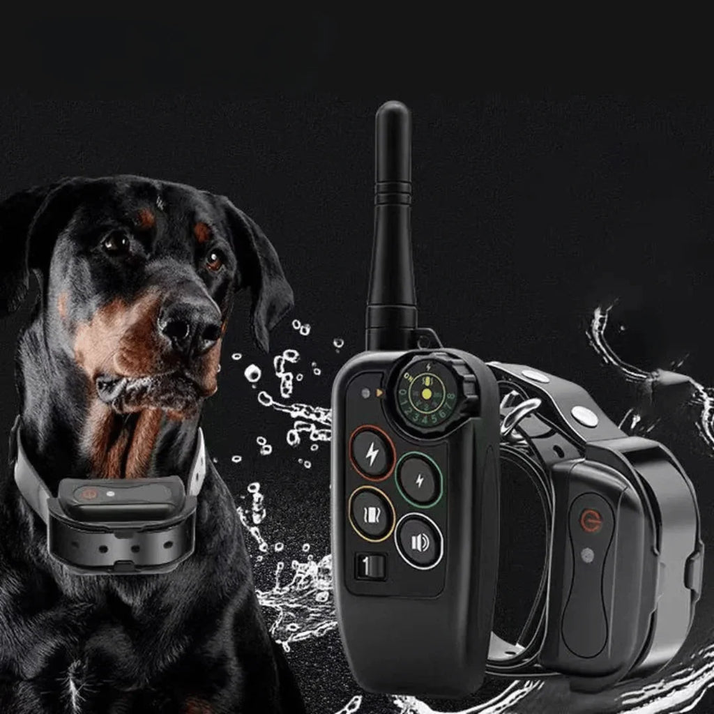 Dog Training Collar | 1000m Range Waterproof & Rechargeable