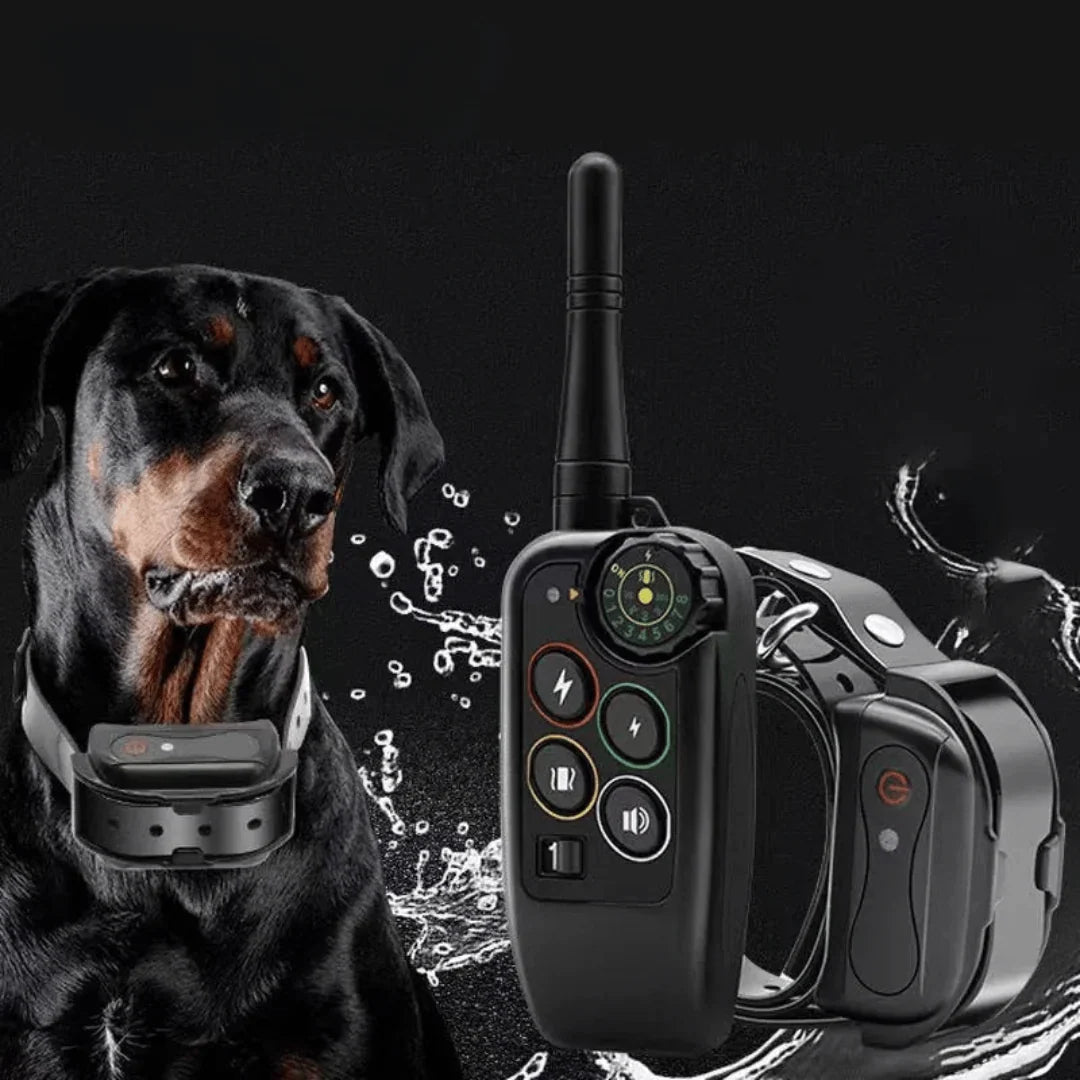 Dog Training Collar | 1000m Range Waterproof & Rechargeable