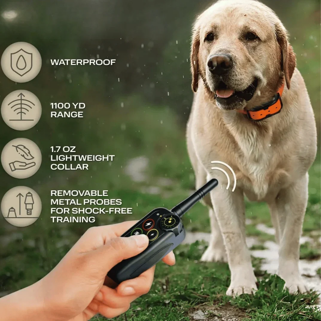 Dog Training Collar | 1000m Range Waterproof & Rechargeable