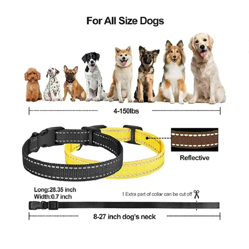 Dog Training Collar | Rechargeable Remote 1000m Range | IP67 Waterproof