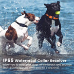Dog Training Collar | Waterproof & Rechargeable | 800 m Range