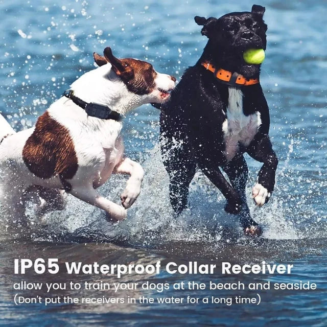 Dog Training Collar | Waterproof & Rechargeable | 800 m Range