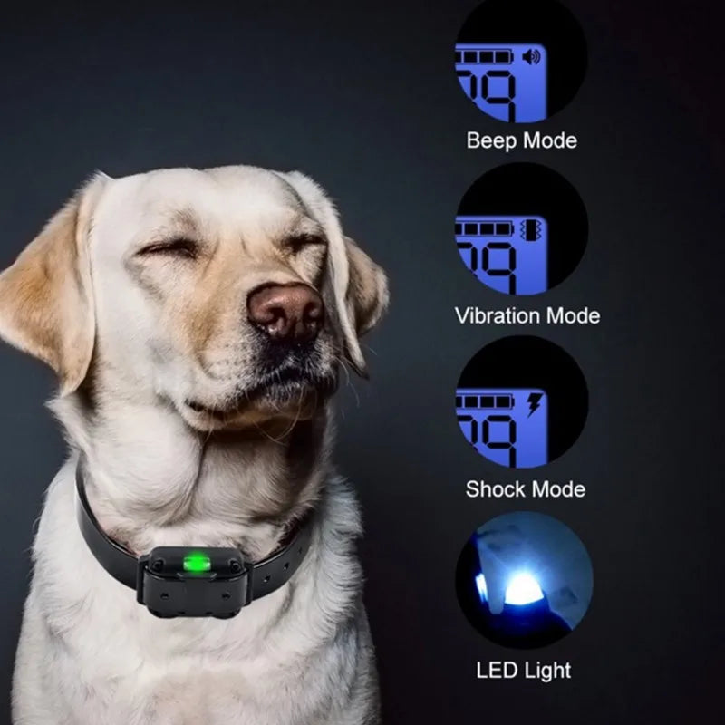 Dog Training Collar | Waterproof & Rechargeable | 800 m Range