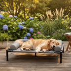 Elevated Dog Bed | Ventilated Mesh & Durable Steel Frame