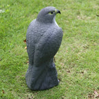 Falcon Decoy | Lifelike Bird Deterrent & Weather-Resistant | 40 x 17.5 x 17 cm