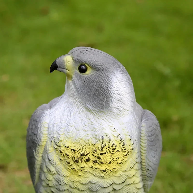 Falcon Decoy | Lifelike Bird Deterrent & Weather-Resistant | 40 x 17.5 x 17 cm
