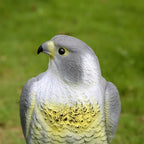 Falcon Decoy | Lifelike Bird Deterrent & Weather-Resistant | 40 x 17.5 x 17 cm