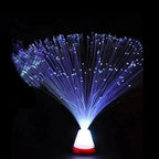 Fiber Optic Light | Multicolor LED & Battery-Powered