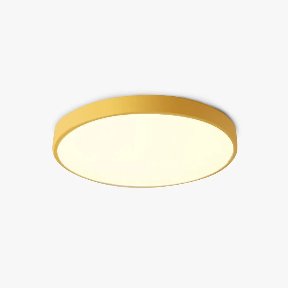 Flush Mount Ceiling Light | Round Dimmable LED Metal & Acrylic