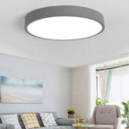 Flush Mount Ceiling Light | Round Dimmable LED Metal & Acrylic