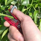 Fruit & Vegetable Picker | Long-Reach Stainless Steel