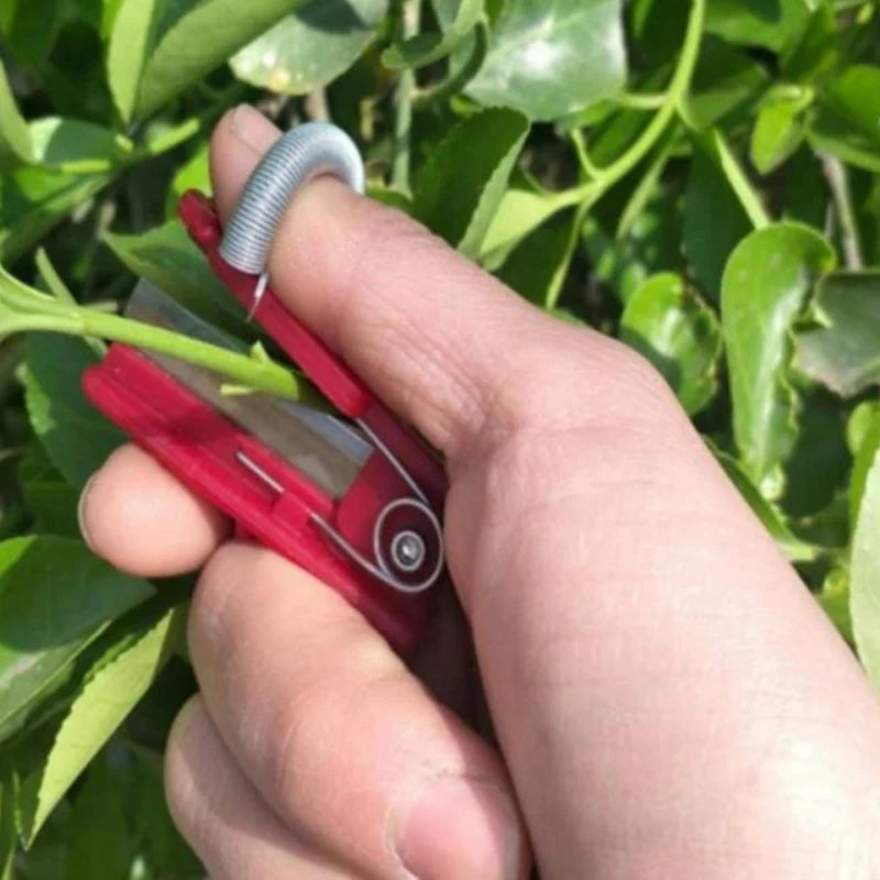 Fruit & Vegetable Picker | Long-Reach Stainless Steel