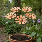 Garden Stakes | Weather-Resistant Metal & Rustic Daisy Finish | Set of 5