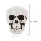 Halloween Skull Decorations | Mini White Indoor & Outdoor | 10-Piece Set