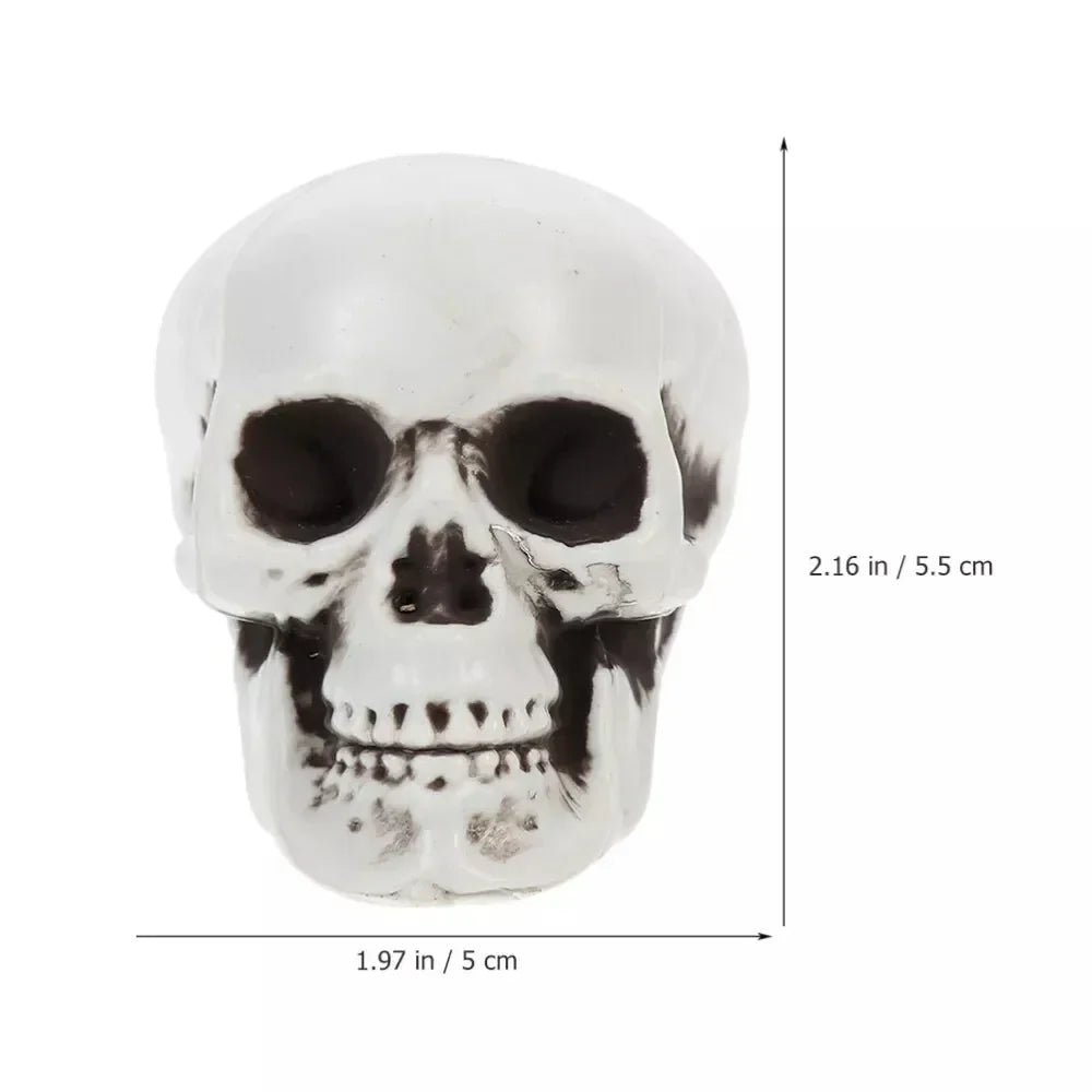 Halloween Skull Decorations | Mini White Indoor & Outdoor | 10-Piece Set
