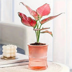 Indoor Planter | Self-Watering Double-Walled & Eco-Friendly