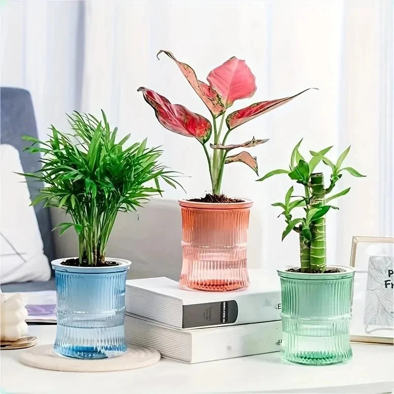 Indoor Planter | Self-Watering Double-Walled & Eco-Friendly