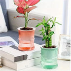 Indoor Planter | Self-Watering Double-Walled & Eco-Friendly