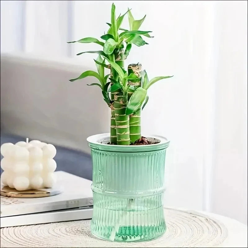 Indoor Planter | Self-Watering Double-Walled & Eco-Friendly