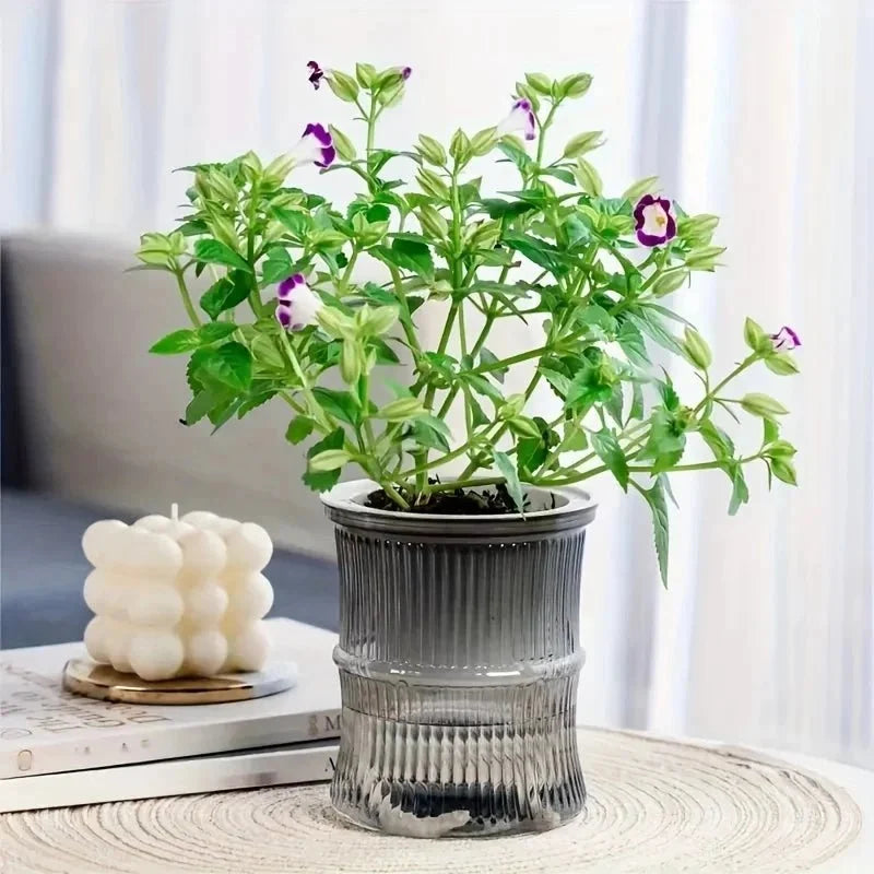 Indoor Planter | Self-Watering Double-Walled & Eco-Friendly