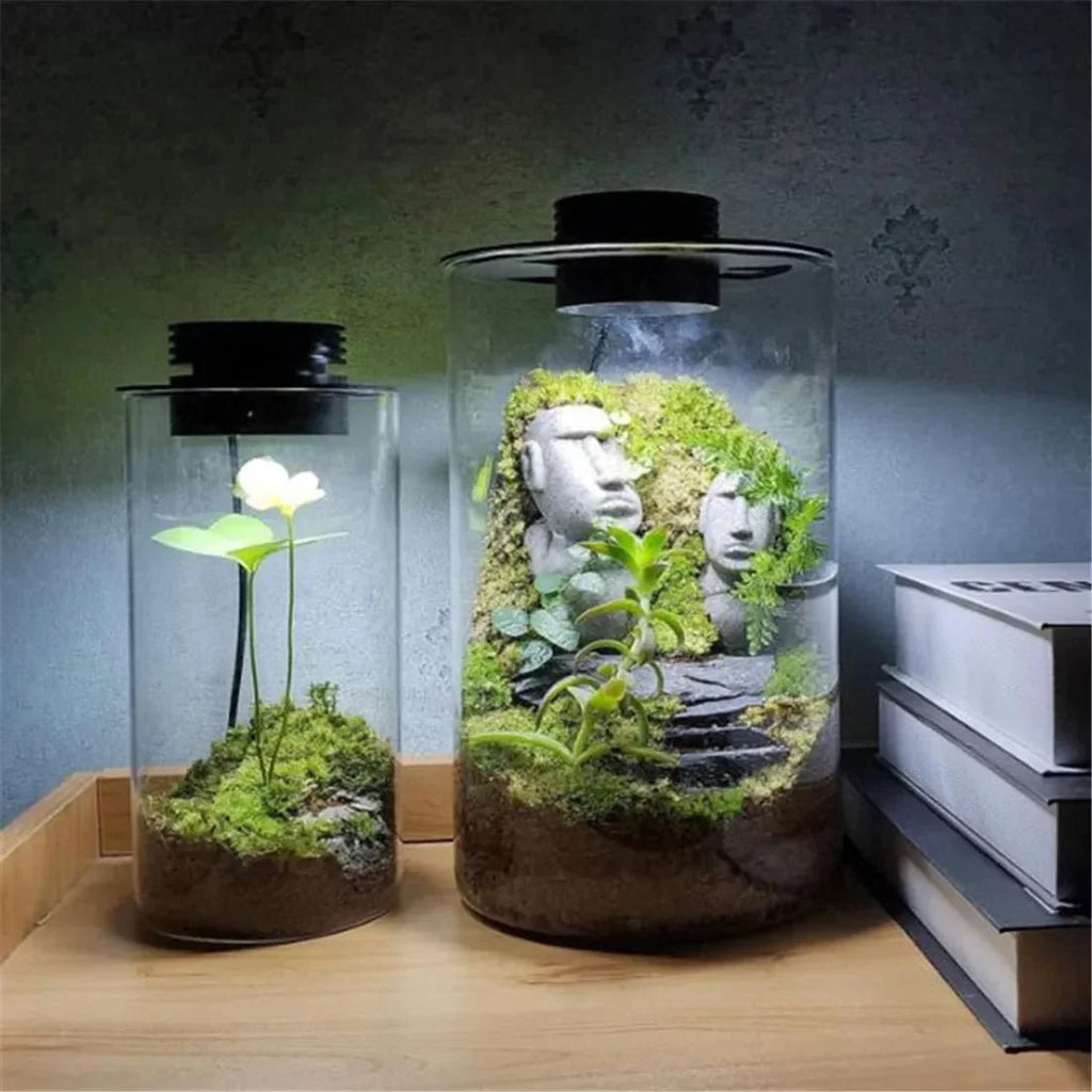 LED Plant Light | Full-Spectrum 6000K | USB-Powered & Built-In Timer
