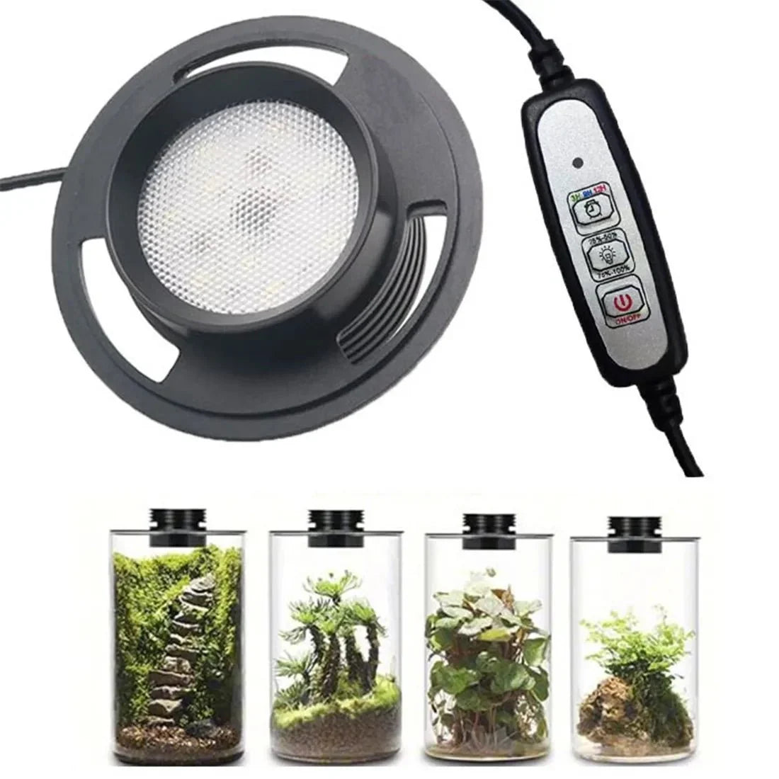 LED Plant Light | Full-Spectrum 6000K | USB-Powered & Built-In Timer