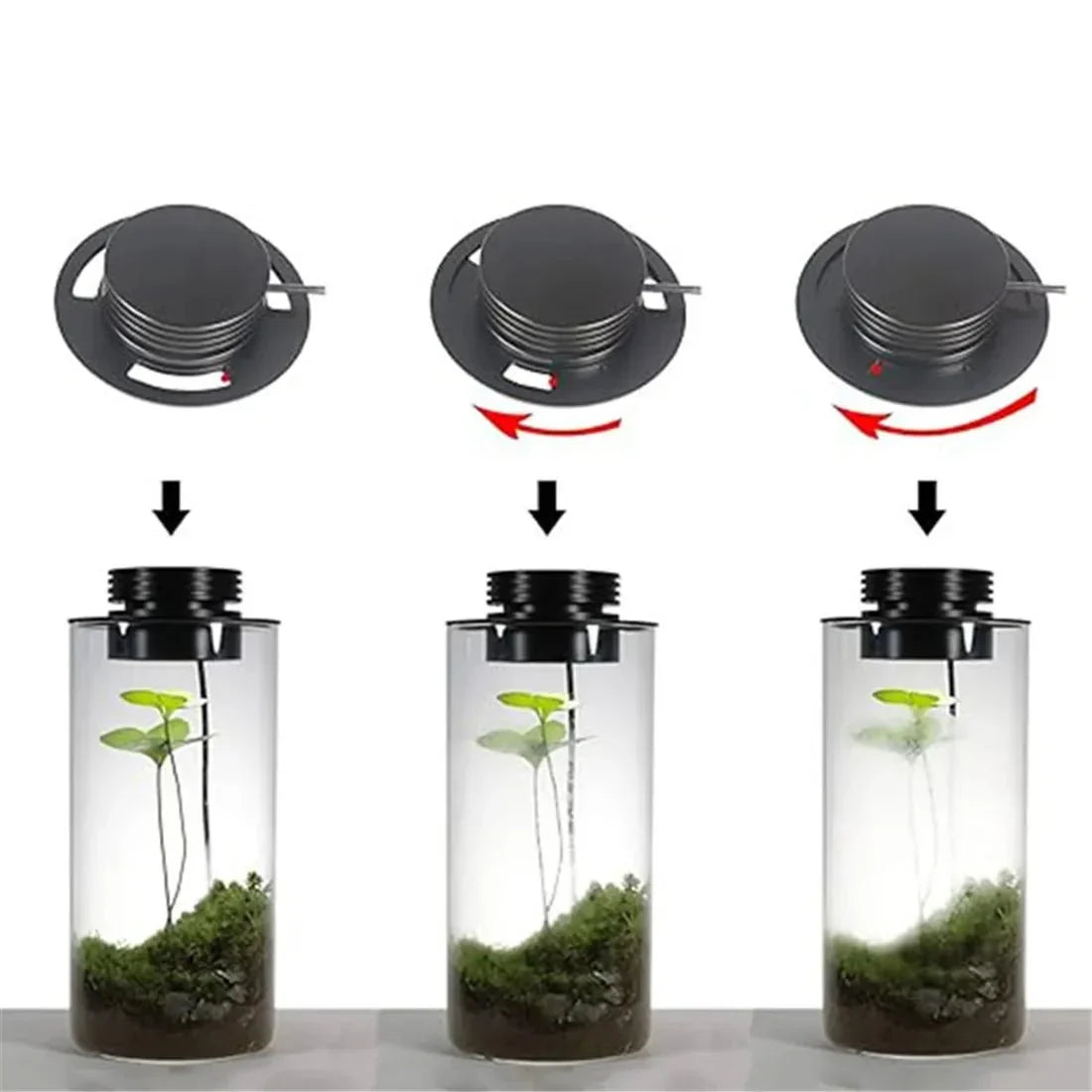LED Plant Light | Full-Spectrum 6000K | USB-Powered & Built-In Timer