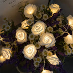 LED String Lights | Battery-Powered Warm White & Artificial Roses | 2 m