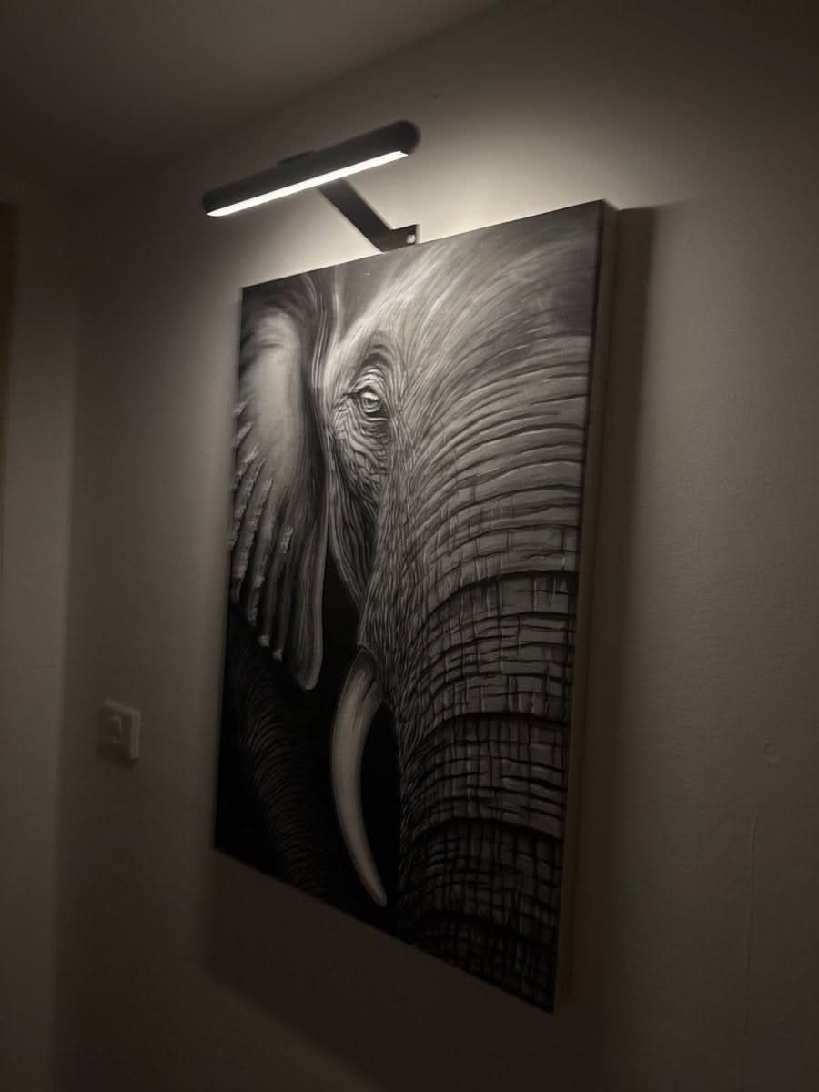 LED Wall Lamp | Wireless Rechargeable & Dimmable | 360° Rotatable Head