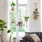 Macrame Plant Hangers | Handmade 100% Cotton | Set of 4