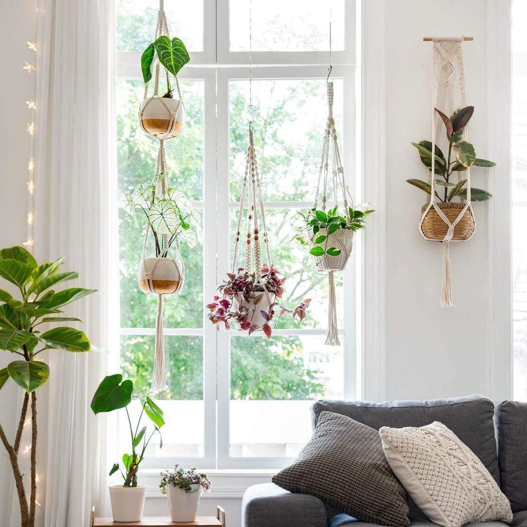 Macrame Plant Hangers | Handmade 100% Cotton | Set of 4