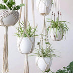 Macrame Plant Hangers | Handmade 100% Cotton | Set of 4
