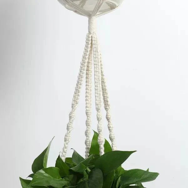 Macrame Plant Hangers | Handmade 100% Cotton | Set of 4