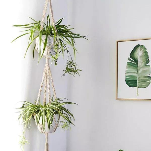 Macrame Plant Hangers | Handmade 100% Cotton | Set of 4