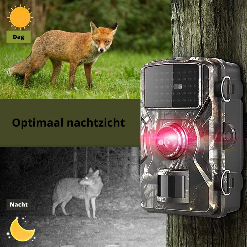 Mini Trail Camera | 4K Infrared Night Vision & Waterproof
