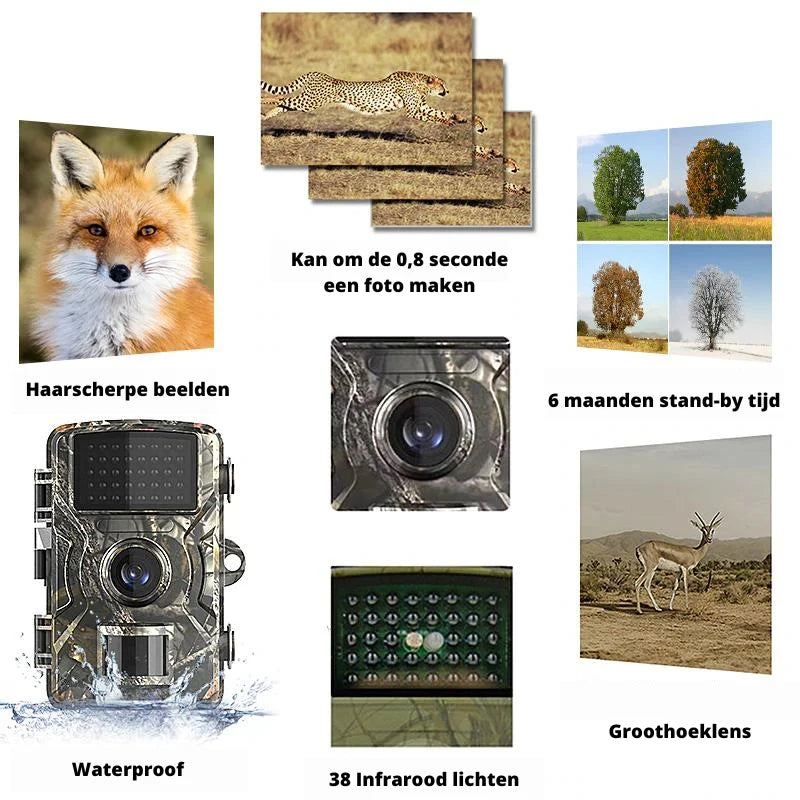 Mini Trail Camera | 4K Infrared Night Vision & Waterproof