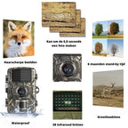 Mini Trail Camera | 4K Infrared Night Vision & Waterproof
